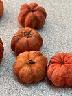Pumpkins Patch Lot of 22 small Miniature for Crafts Fall Harvest Halloween New — photo 6