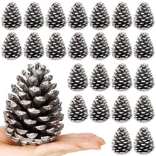 24 Pcs Large Silver Christmas Glitter Pine Cones 4 Inch Pine Cone Ornaments A...