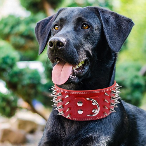Adjustable PU Leather Pet Dog Collar 3" Extra Wide Spiked Rivet Studded Large - Picture 2 of 22