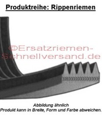 Antriebsriemen / Drive Belt Crosstrainer Smooth XTR 1
