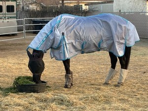 Weatherbeeta Comfitec Hexi Shield horse fly sheet combo neck - 78" / 6'6" - USED