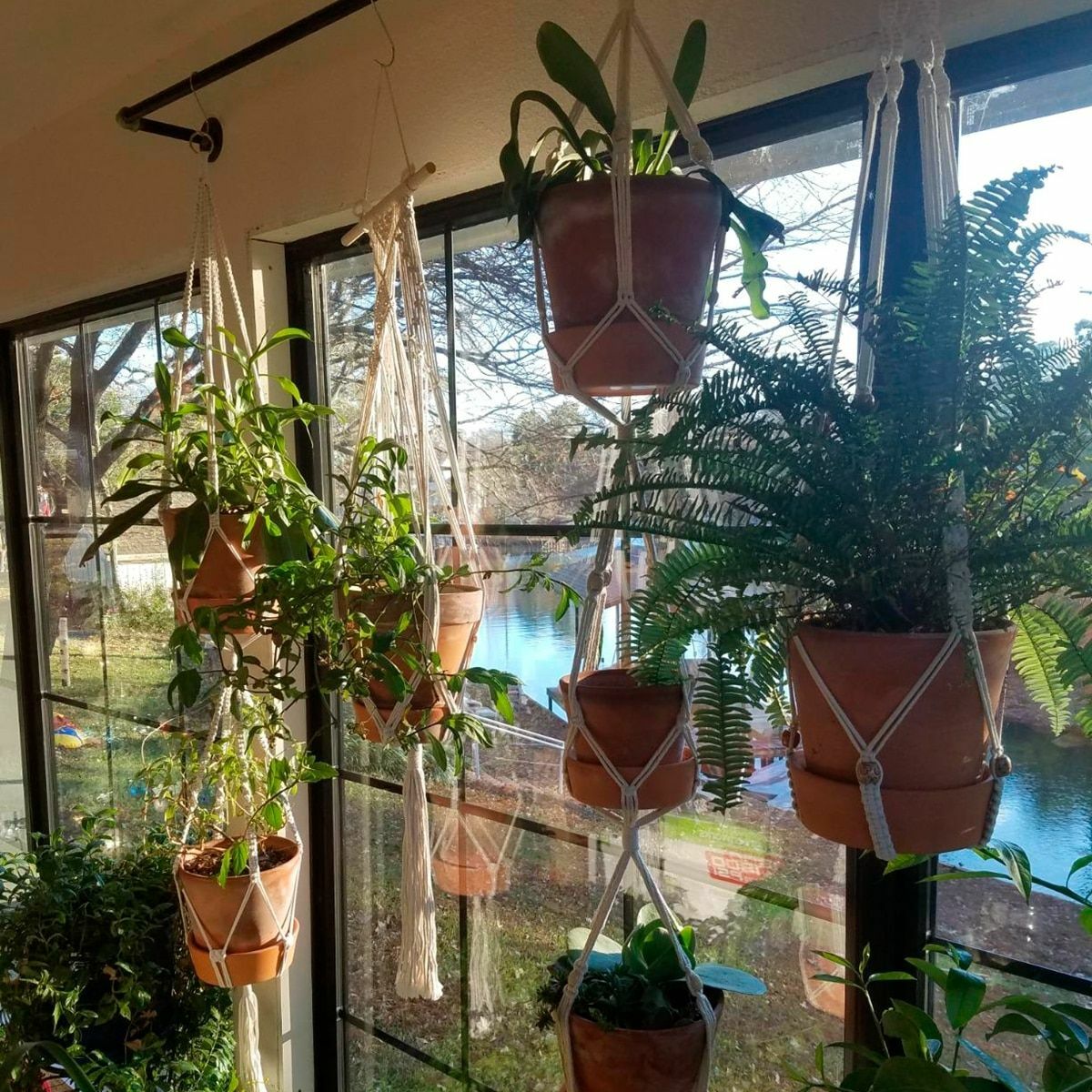 Picture 10 of 25