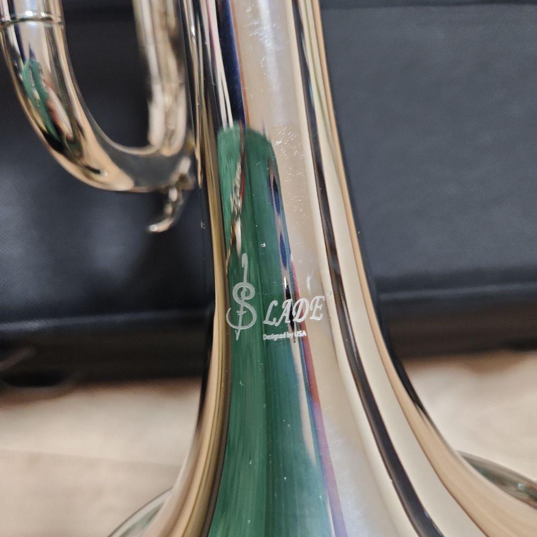 Silver Trumpet Lade | eBay