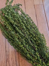 Dried Preserved Flower - Grabia Basil Green Filler - 5 oz Bunch