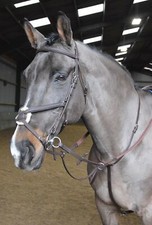 John Whitaker Ready to Ride Martingale