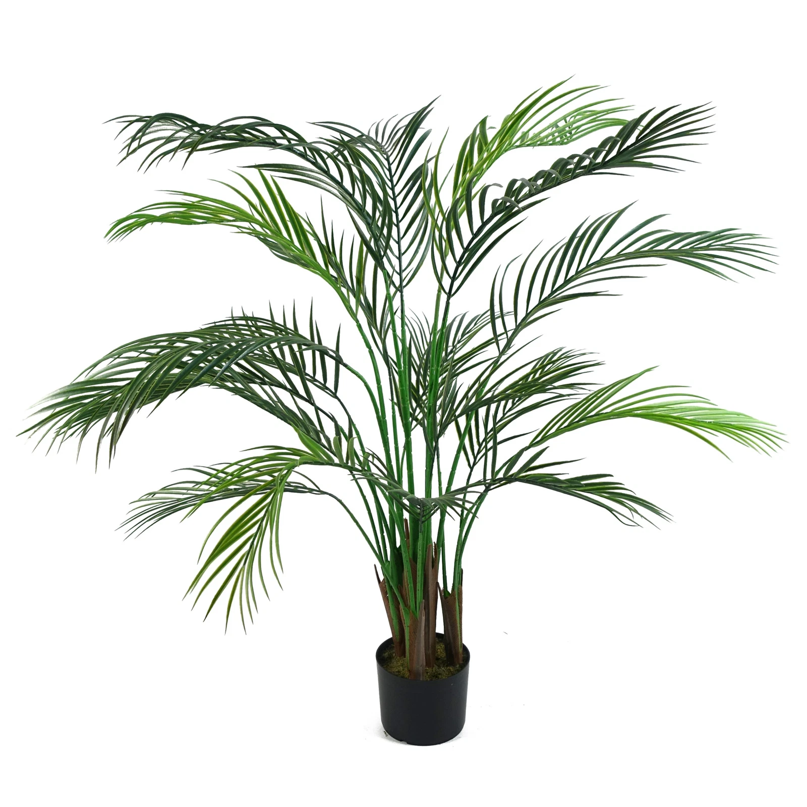 125cm UV Areca - 40559