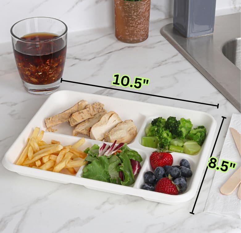 Divided Paper Plates 50Pack of Heavy Duty Disposable Plates with