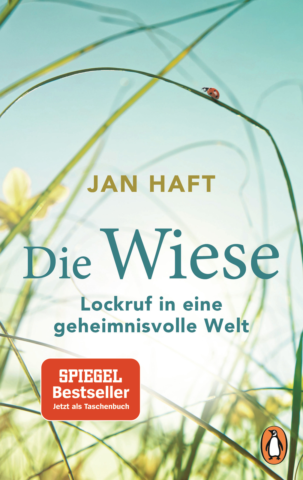 Thumbnail - Jan Haft / Die Wiese