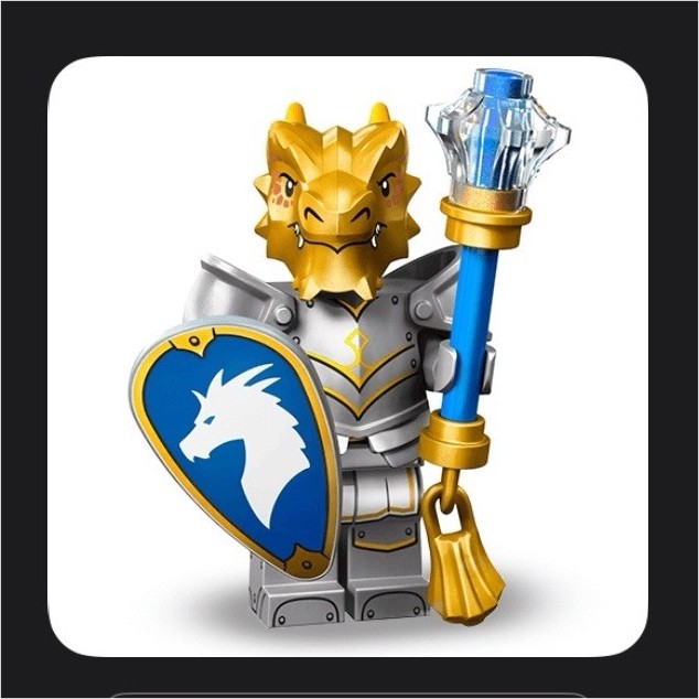 LEGO 71047 Dungeons & Dragons Dragonborn  Paladin NEW sealed ships fast