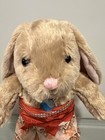 Build A Bear Disney’s Plush Pawlette Bunny Dressed In Moana’s Outfit — photo 2
