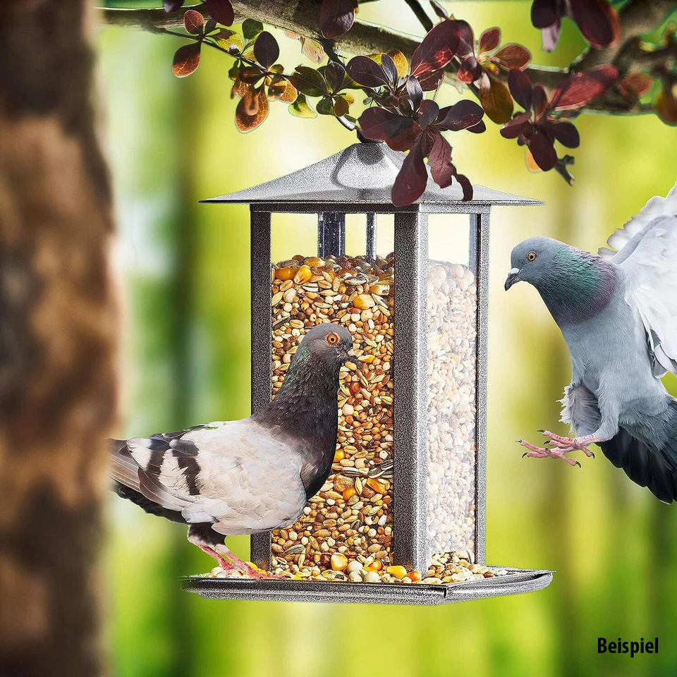 Taubenfutter Classic Taube Hochwertige Mischung von Paul's Mühle - Bild 3 von 4