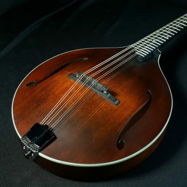 Eastman MDO305 Octave Mandolin Gig Bag for sale online eBay