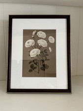 Vintage dark wood and gold framed botanical Art Print white Ranunculus Floral