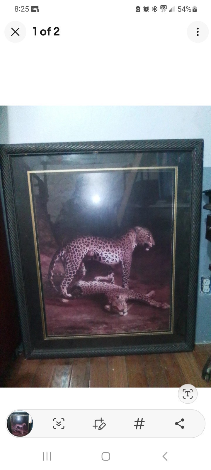 Vintage Cedar Creek Collection – Agasse “Leopards Playing” Large Framed Art Prin - second product detail image