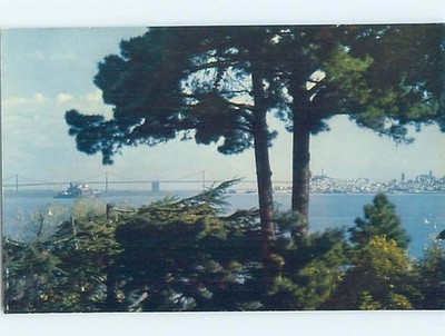 Pre-1980 ALTA MIRA HOTEL GROUNDS Sausalito - Near San Francisco CA G9588
