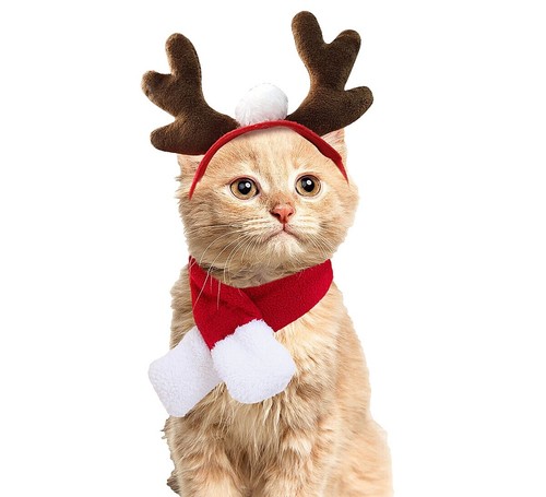 NEW Cat Christmas Outfit - Cute Dress | eBay NEW Cat Christmas Outfit - Cute Dress | eBay
