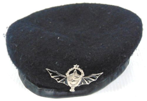 Vintage Israel Shayetet 13 Beret & Batwings IDF Navy Commando Squadron Badge - Picture 1 of 4