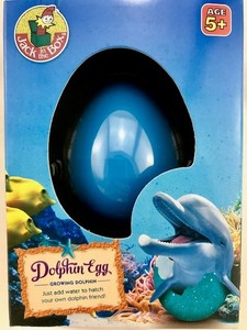 dolphin water toy