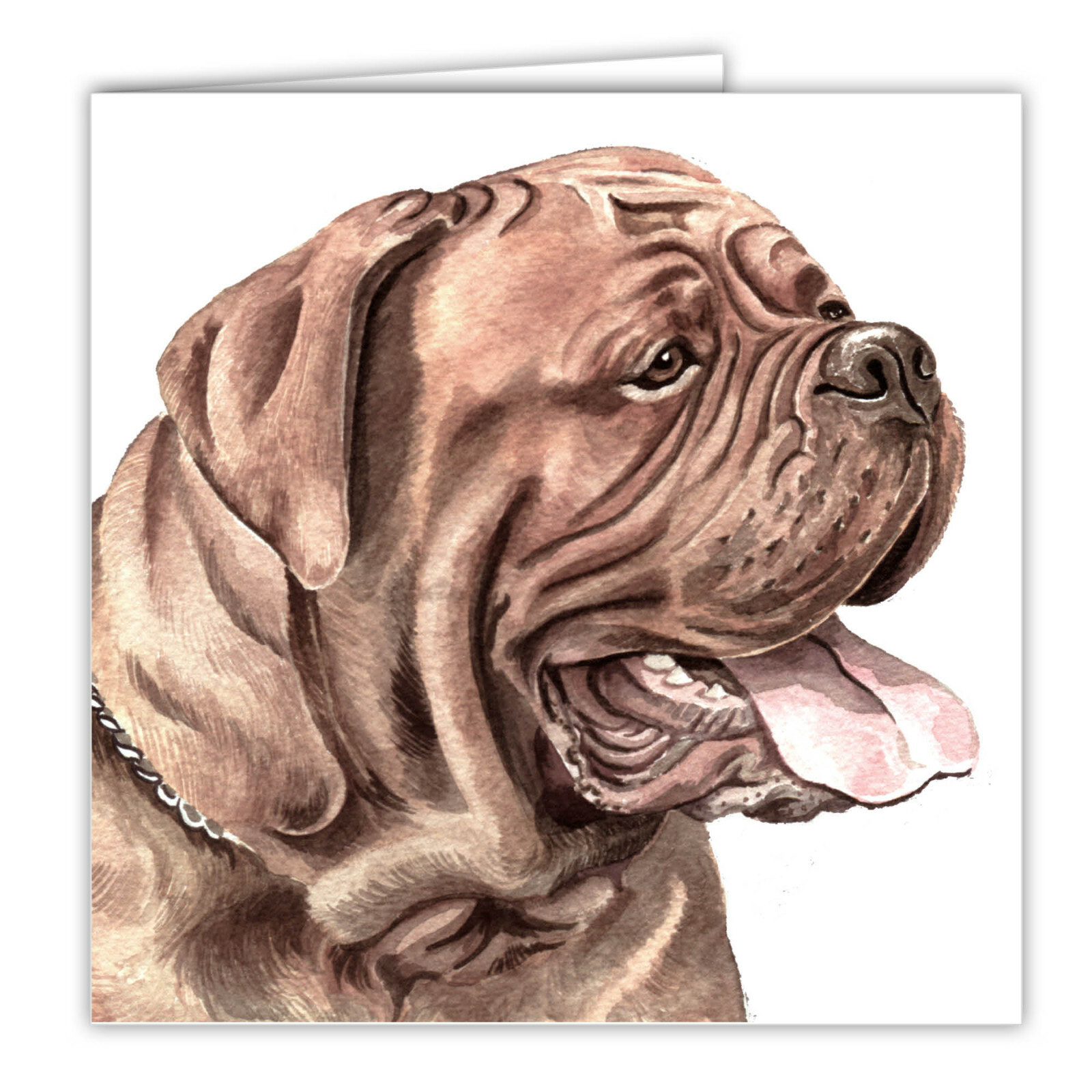 Dogue de Bordeaux greetings card dog blank card French Mastiff Bordeaux Mastiff