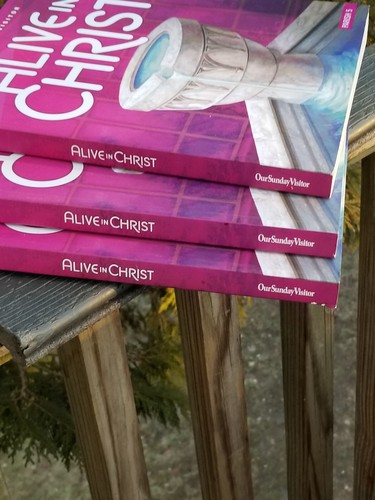 5 KINDERLEHRBÜCHER SCHULBÜCHER LEBENDIG IN CHRISTUS UNSER SONNTAGSBESUCHER - Bild 8 von 17