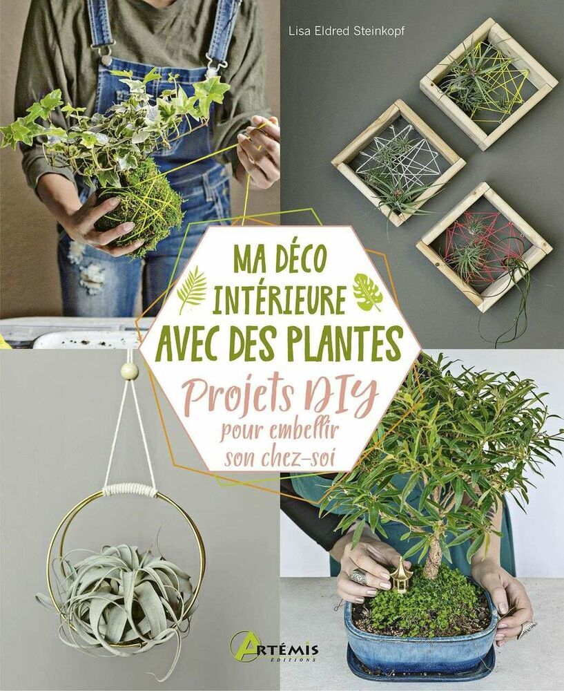 Ma déco intérieure avec des plantes: Projets DIY pour embellir son