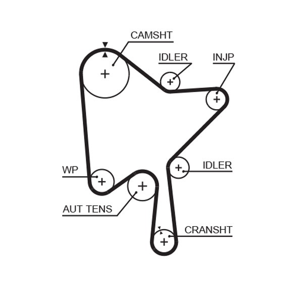 Fits GATES 5686XS 5686XS 155X28