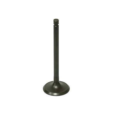 Bronco Products Valve | AU-09191E