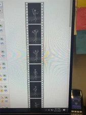 Lot of (6) BOYER COE bodybuilding muscle posing NEGATIVE slide strip photos (4)