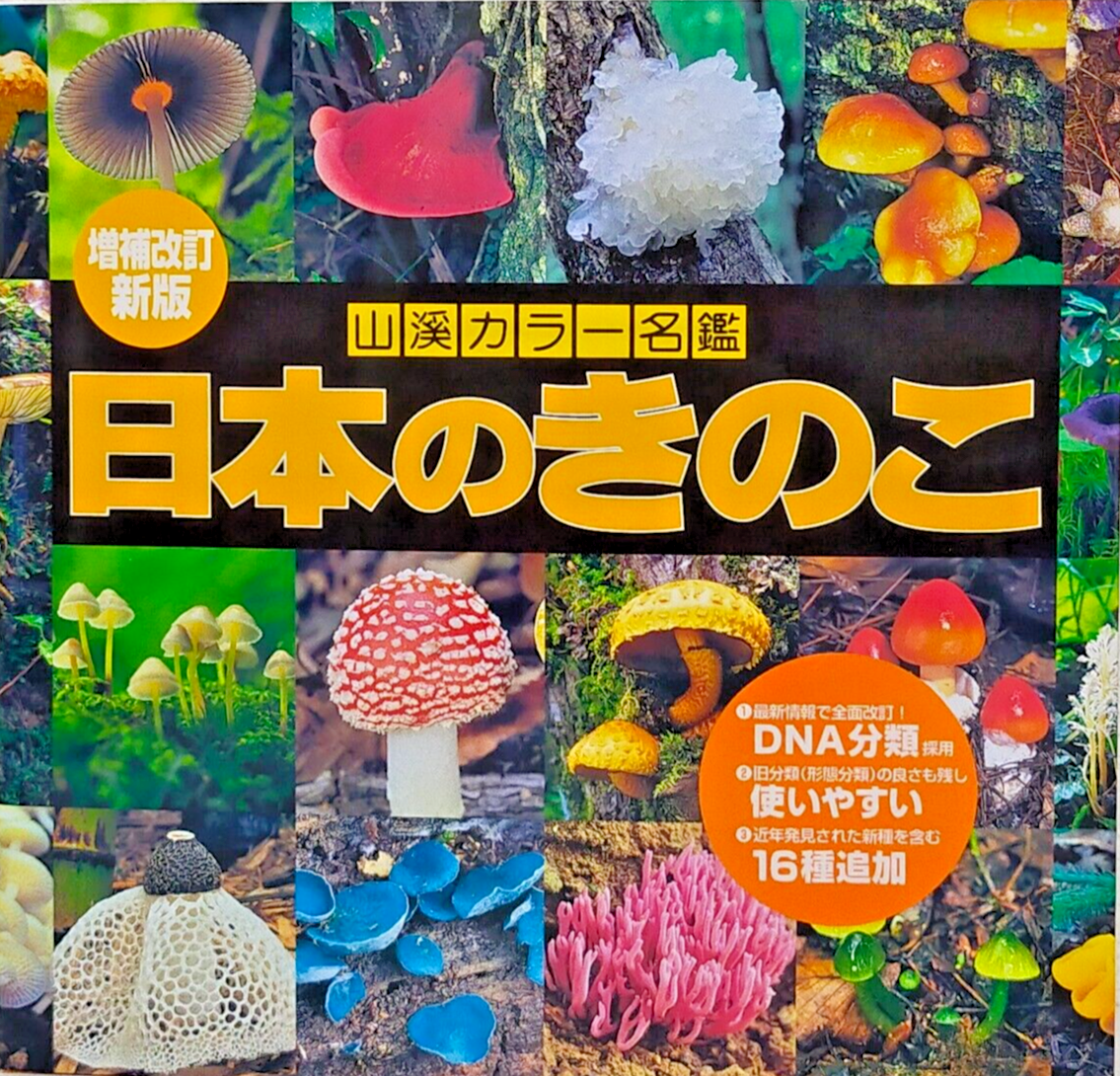 Japanese Mushrooms Picturebook Visual Dictionary Fungi of Japan 8