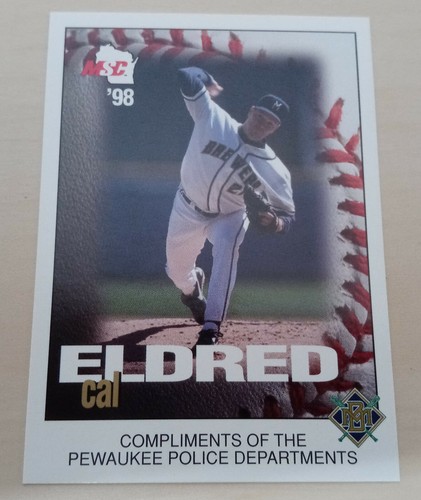 1998 Milwaukee Brewers Police - MSC - PEWAUKEE POLICE DEPARTMENT - Picture 5 of 18