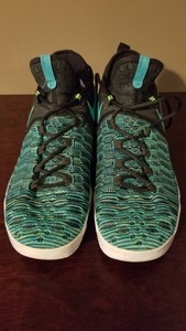 kd 9 birds of paradise