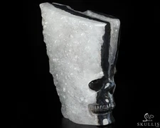 4.6" Black Zebra Agate Hand Carved Crystal Skull Fine Art Sculpture, Healing