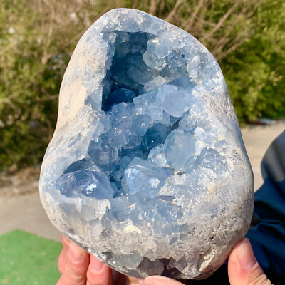 Natural Blue Celestite Geode QuartzCrystal Mineral