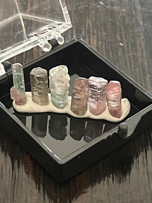 Tourmaline- Watermelon Tourmaline in case -  Paprok mine, Afghanistan