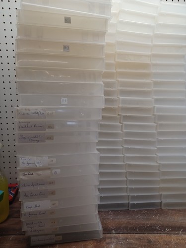 Menge 100+ klare VHS Band Aufbewahrungshüllen leere Muschelschalen - Bild 2 von 5