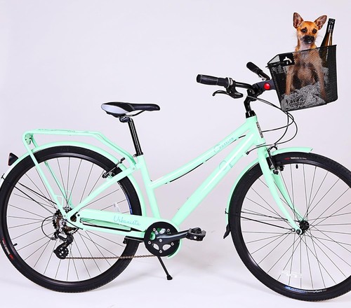 Durable Alloy Steel Retro Bike Basket - 12 lbs Capacity for Groceries & Pets - Picture 5 of 6