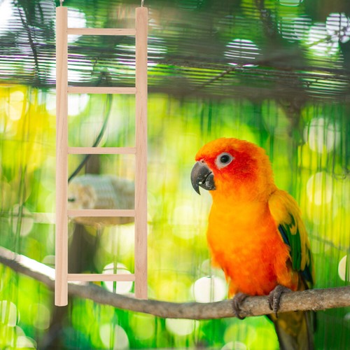 Fournitures descalade perroquet échelle perruche broyage griffe officiel oiseau animal jouet en bois