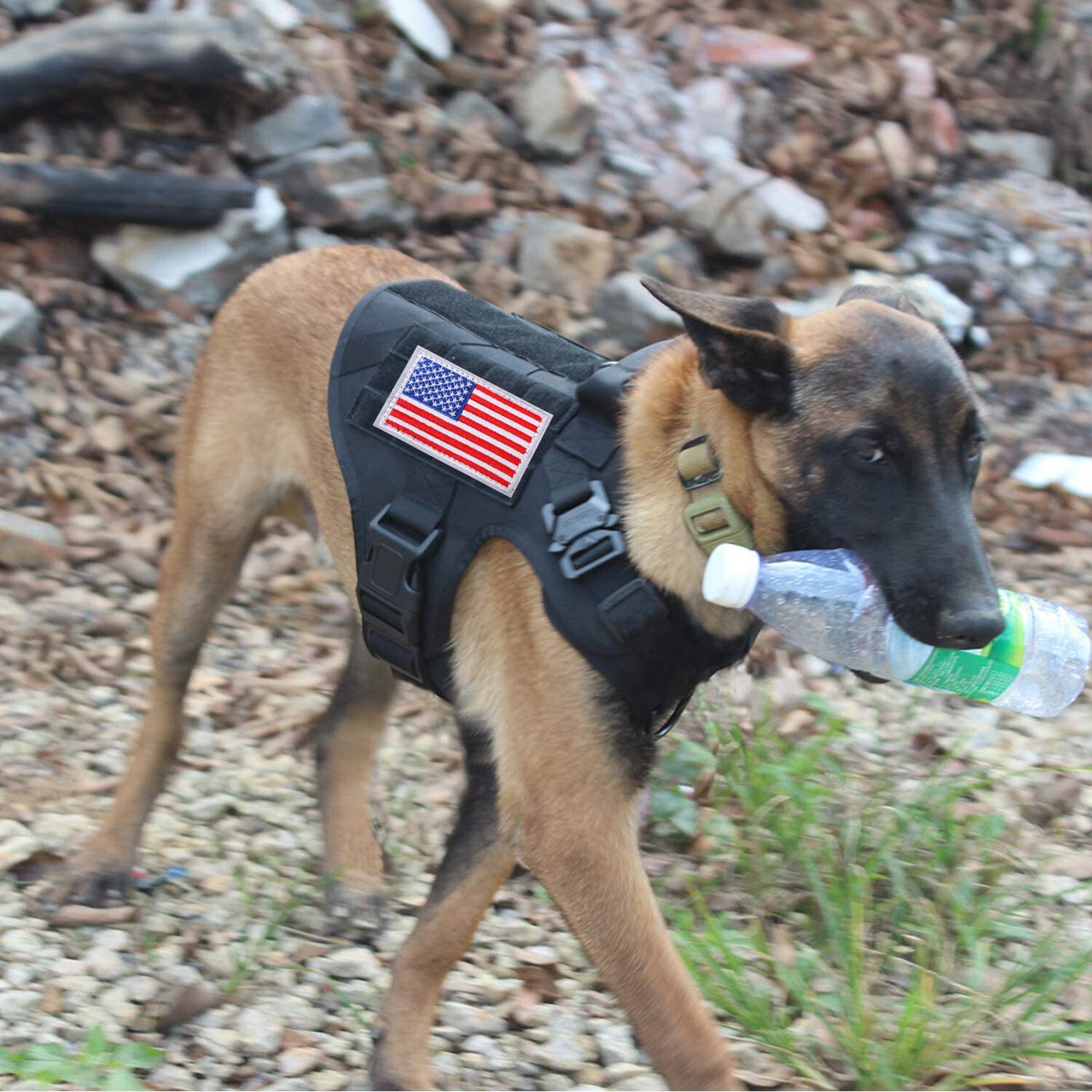Military service cheap dog harness