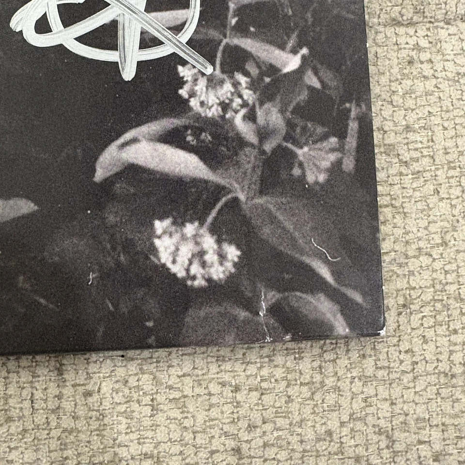 Mac Demarco Autograph 2 Signed Vinyl Record LP Indie Rock Guitar Salad Days Auto - Image 4 of 4