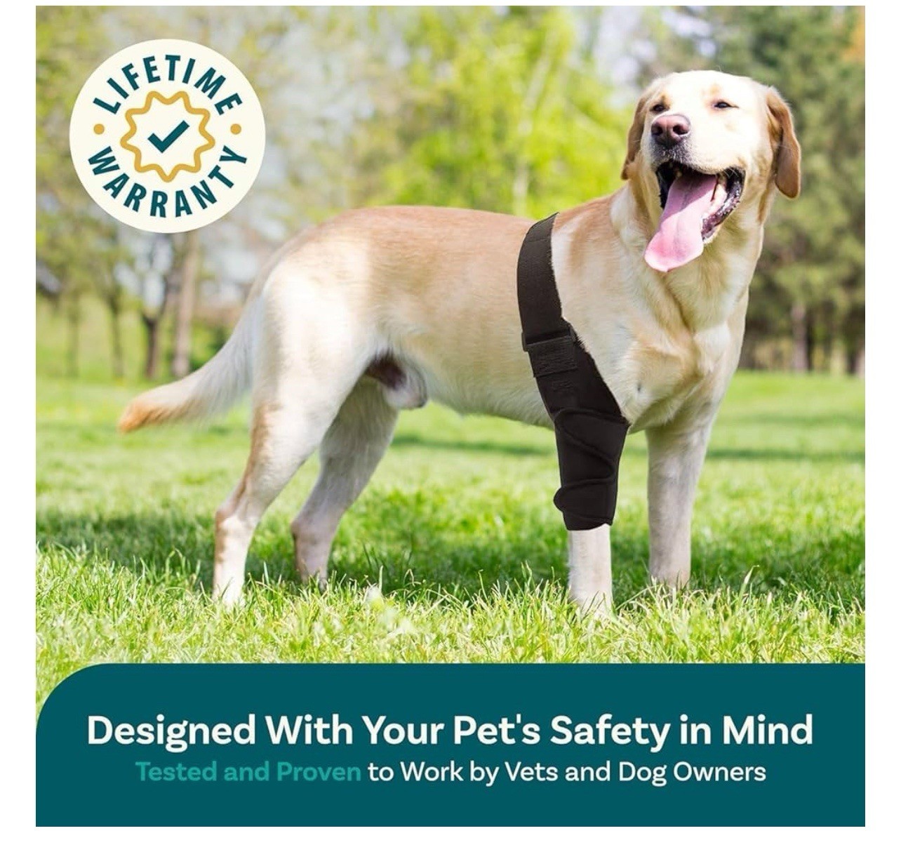 PetCove PC-PWEASE Black Dog Knee Brace for Torn Acl Hind Leg New LARGE