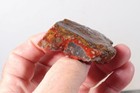 Morocco Kerrouchen Seam Agate 10.4 oz lapidary faced rough Lot C2 — photo 5