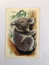 Koala Australia Animal Vintage Rare Old Estate Woolworths Retro Art Swap Card x1