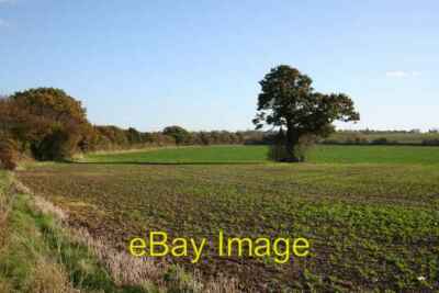 Foto 6x4 Blick von Willow Farm Gringley auf dem Hügel mit Blick auf Grin c2007