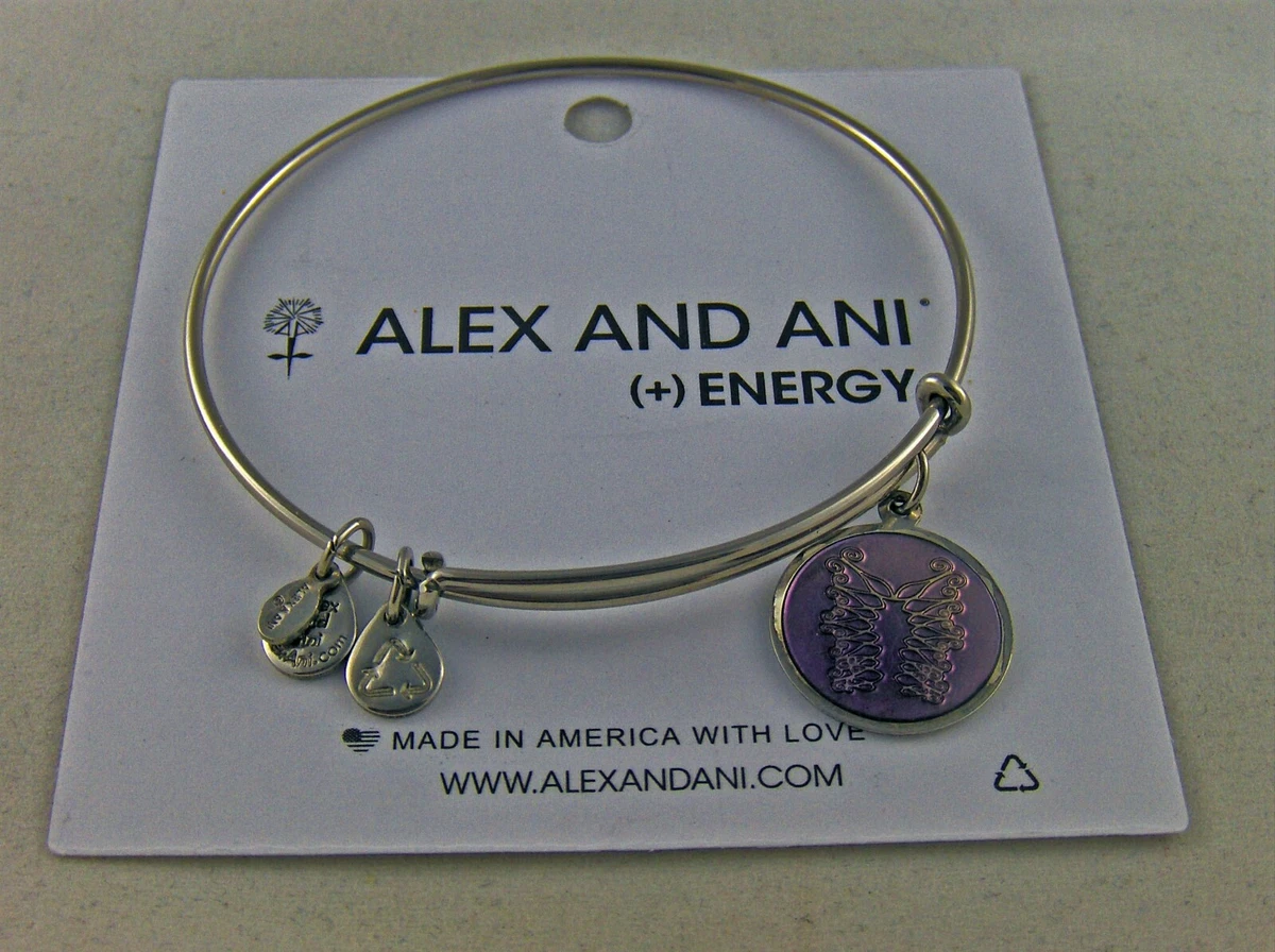 Alex and ani brother best sale bracelet