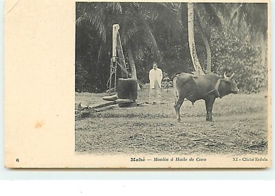 SEYCHELLEN - MAHE - Kokosölmühle - 16703