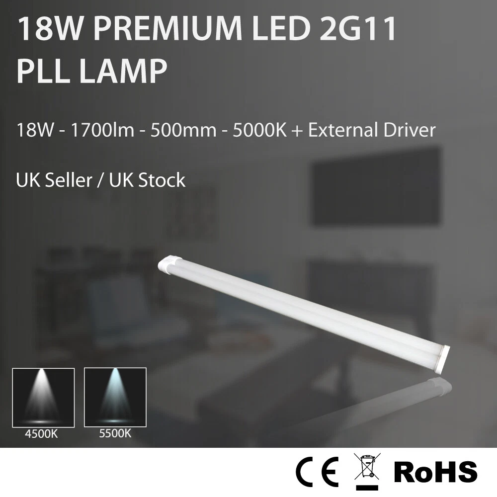 2g11 2024 base fixture