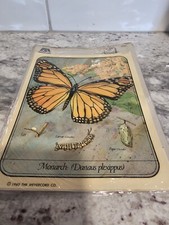 Vintage Meyercord Butterfly Decal Monarch Scrapbooking Art D6