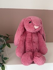 Medium Bashful Cerise Bunny うさぎ Bashful Cerise Bunny - Medium