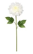 White Dahlia Stem Faux Flower 24 Inch Large Bloom 5 Inch Artificial Dahlia Real
