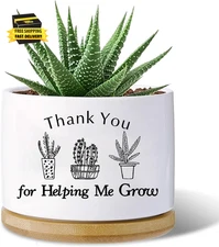 Thank You for Helping Me Grow Gifts,Funny Planters for Indoor Plants, for Plante